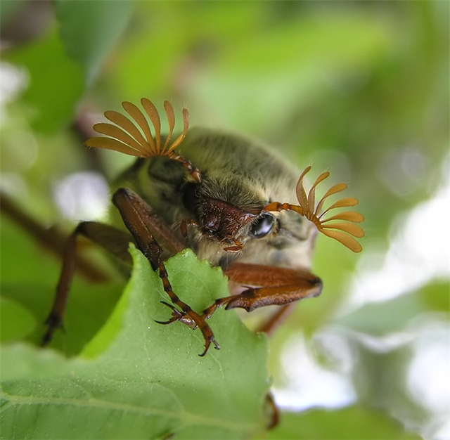 � ���������� ���� � ���� ������� ������� �����