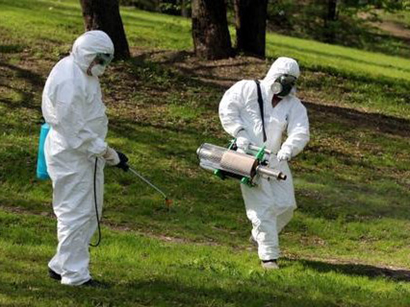 ����� � ������ ��� ���������� ��������� ������ ������