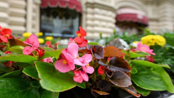 ������� ������������ � ��������� �� ���� ������ � ������