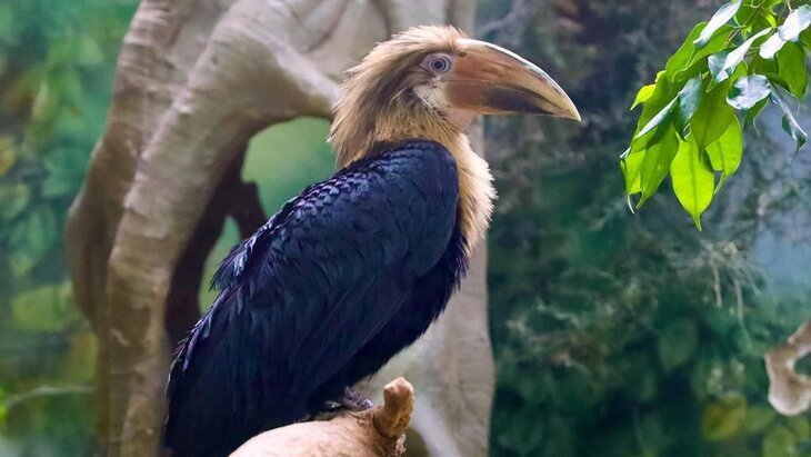 ��������� ������� "�������� ���������" ������� ��� ��� ������ �����-��������