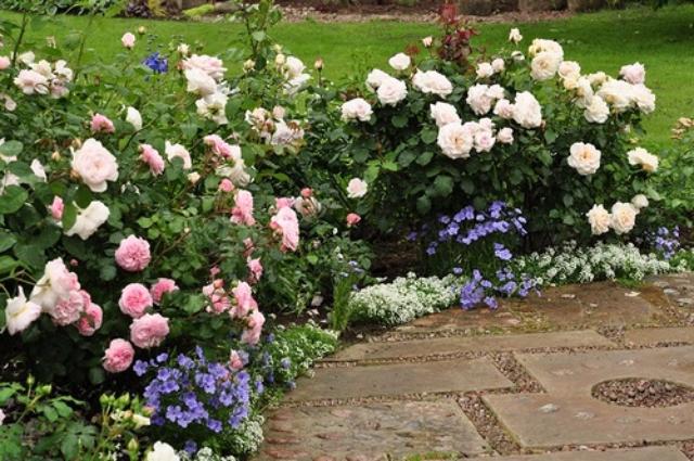 �� ������� ������� ���������� �������