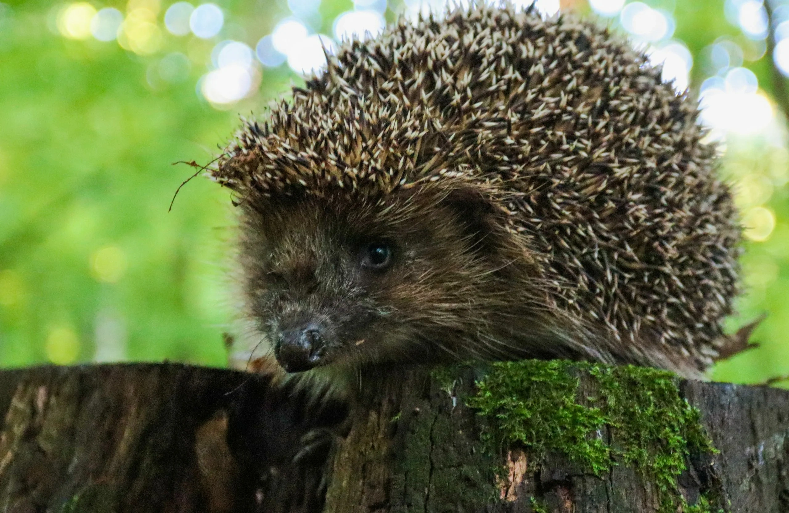 ��������� ���� ����� ��������� �� ��������� ����������� �������