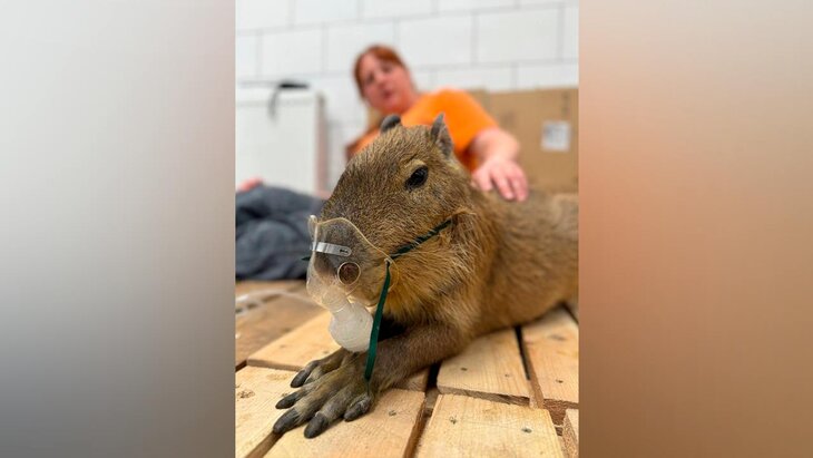 �������� ������� ��������� � �������� ���������