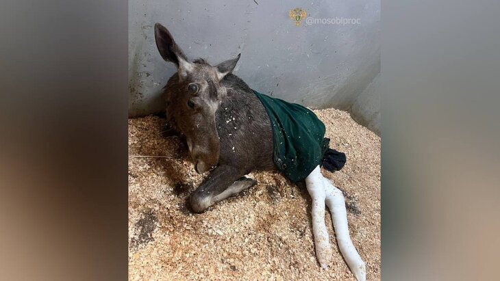 ������� � ����������� ���� ��������������