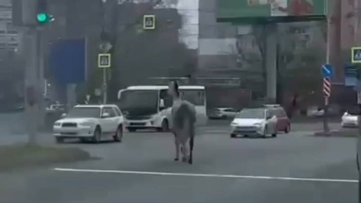 � ���������� ��������� ����� ������ �� ������� � ������������� ���