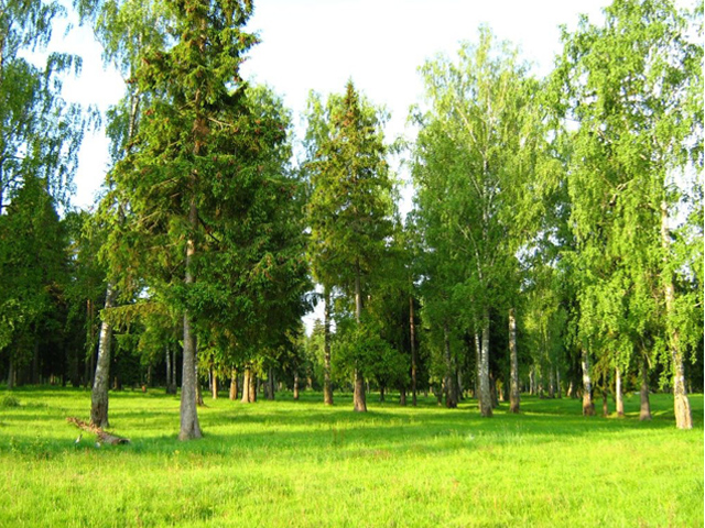 ������� ������� ������� � ����������� ���� ����������� ������������� ���� 