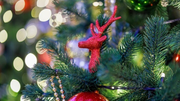 ������ ������������ � ������ �� ����������� ��������� ���� � ������ ����