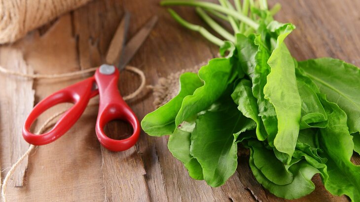 �������� ���������� � ������ ������