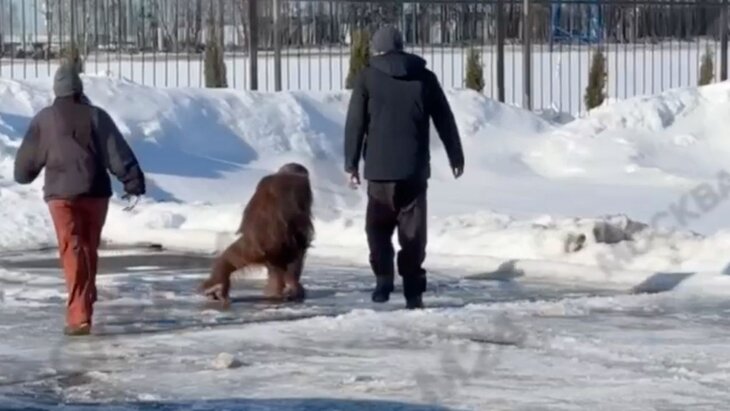 ��������� ������ �� �������� "������� �������" � ������