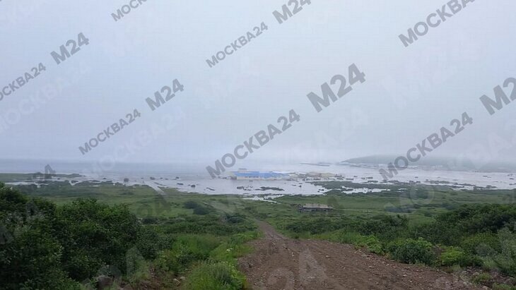 �������� ������ ����������� ��� �������� ����� ������������� �� ��������