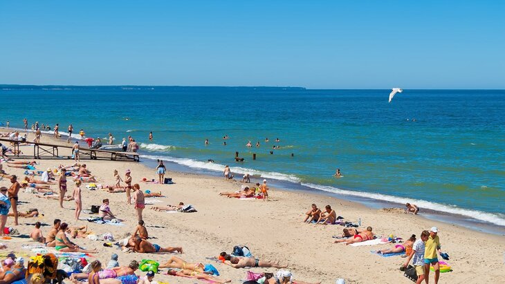 � ��� ������� ������������ ��������������� ��� �������������� �����������