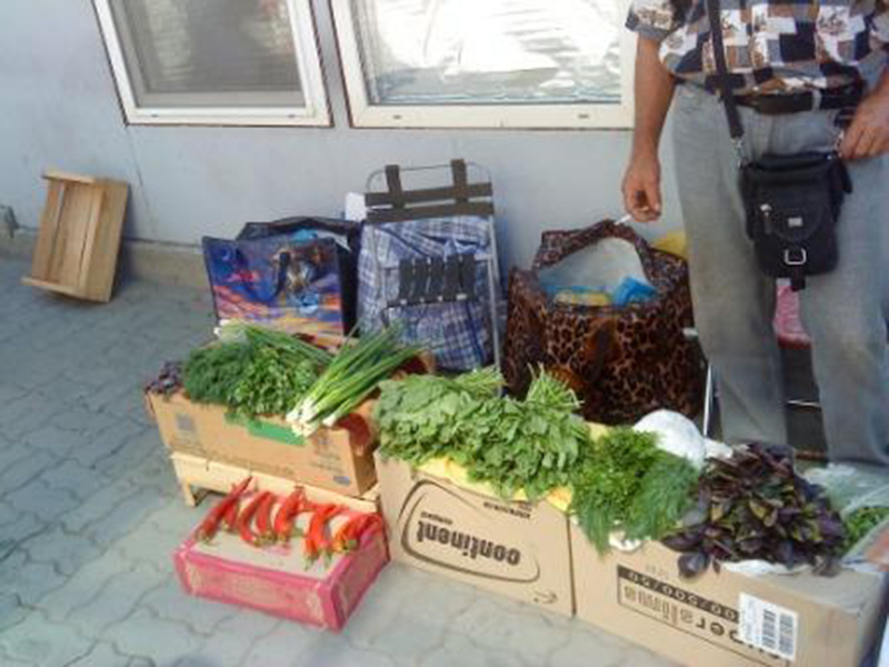 � ������ ���������� �������� ����� ������������������� ��������