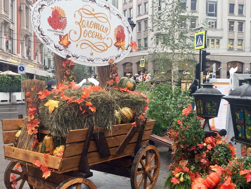 ����� 5 ��� ������� �������� ���������� ��������� "������� �����" 