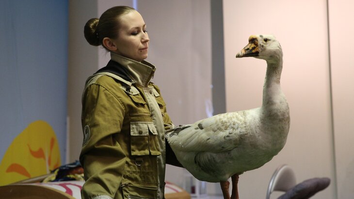 �������� ������� ������� ��� ��������� ���� � ��������