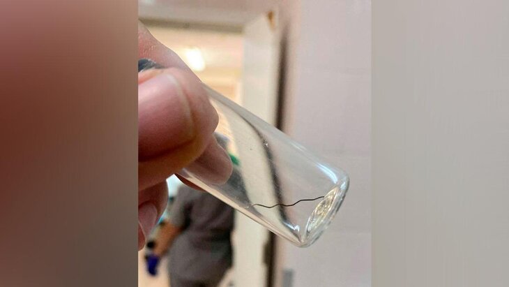 ������������ ����� ������� ��������� �� ������ �������