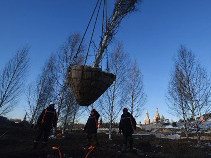  ������� �������� �� ��������� ��������������� ���� ����� � 2016 ���� � ������ ���������