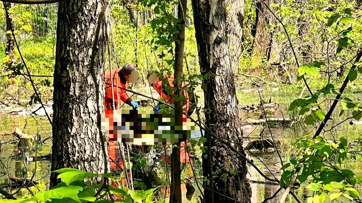 ���� ������������������ ���������� � ����� ����� �������� ������������ �������