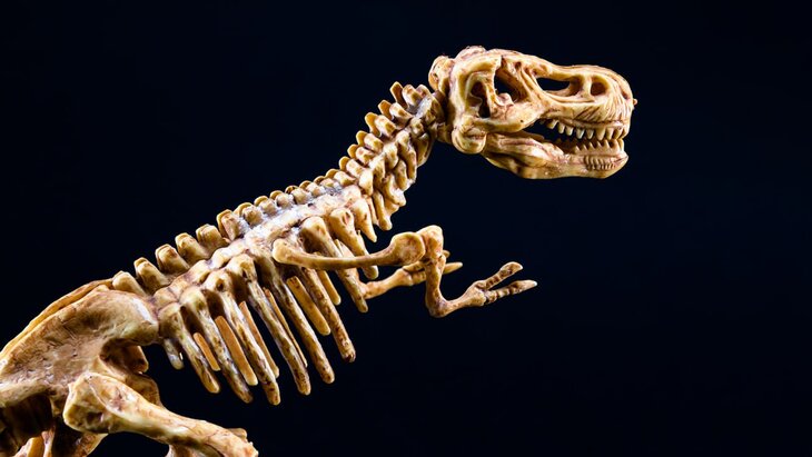 ������ ����� ������ ��� ���������� � ���� � �������� � ���