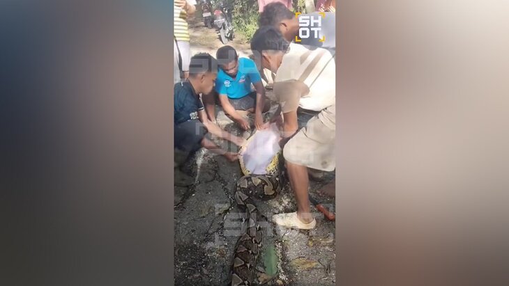 � ��������� ����� ������� ��������� �������