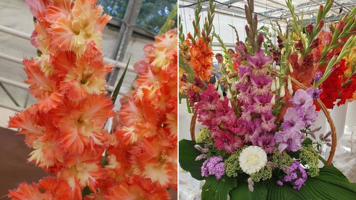 ��������� �������� ����������� ������� � "����������� �������"