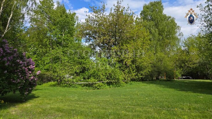 ���� 22-������� ������� ���������� � ���������� ����� �������