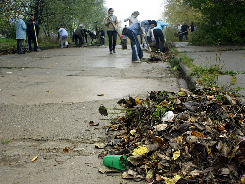 23 ������ � ��������� �������� ������� ���������