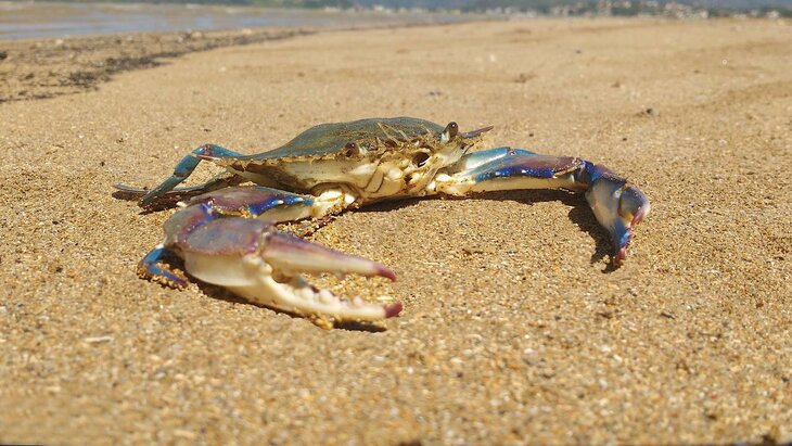 ������ ������ ���� ��� ��������� ������ �� ������� ������ � ������ ����