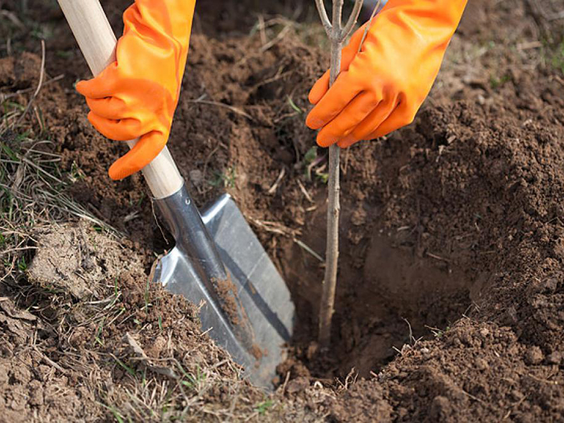 22 ������ � ������ ���������� �������� �������� ����� �������