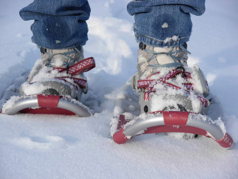 � ����� �� ���� ������ ������ ����������� �����-����