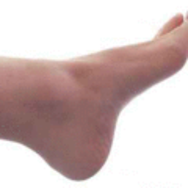 � ���� �� ���� ����� ��������� ��������� ���� �����