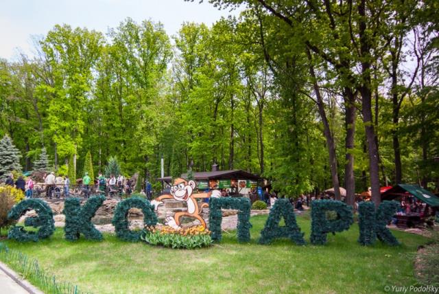 �� ������-������� ������ �������� �������