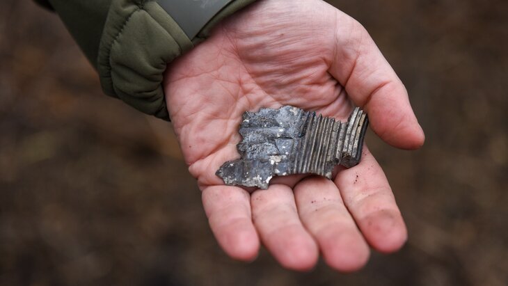 ������ �������� ���������� � ���������� ����� ��� � ��������