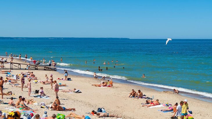 ������ ����� �������� ������� ���������� �������� �� ��������� ����