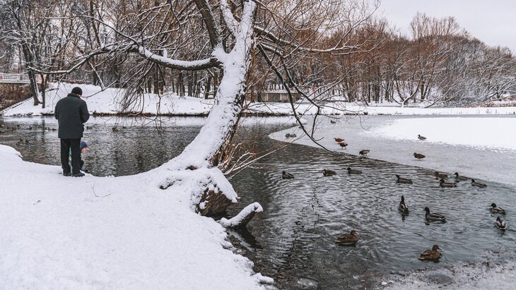 ������ ��������� ������� �������� � ������