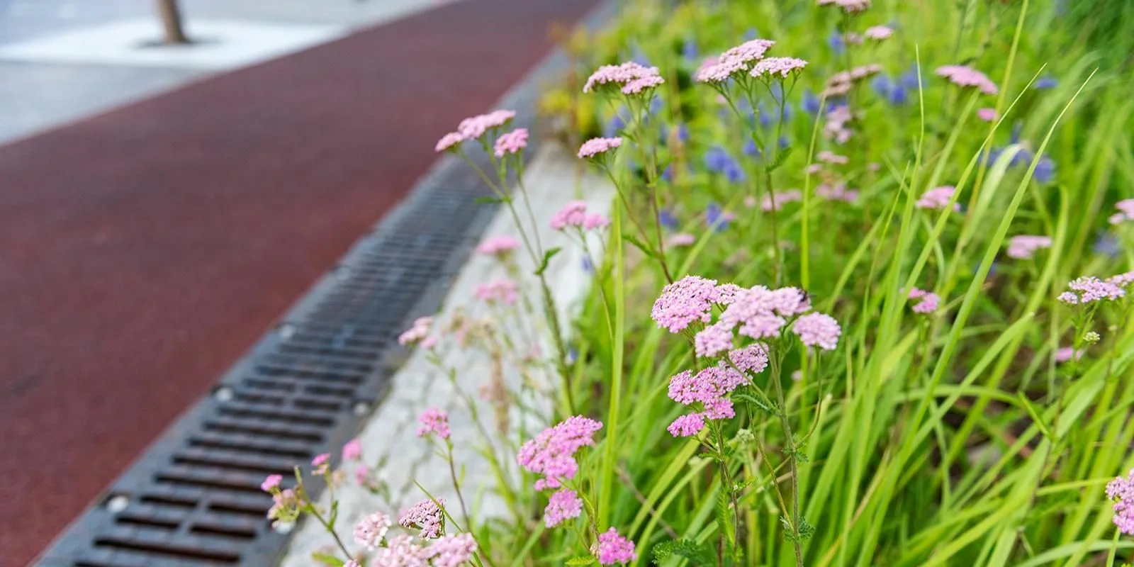 ��� ������� � ������������ ������ ������������ � ������ ������� ���