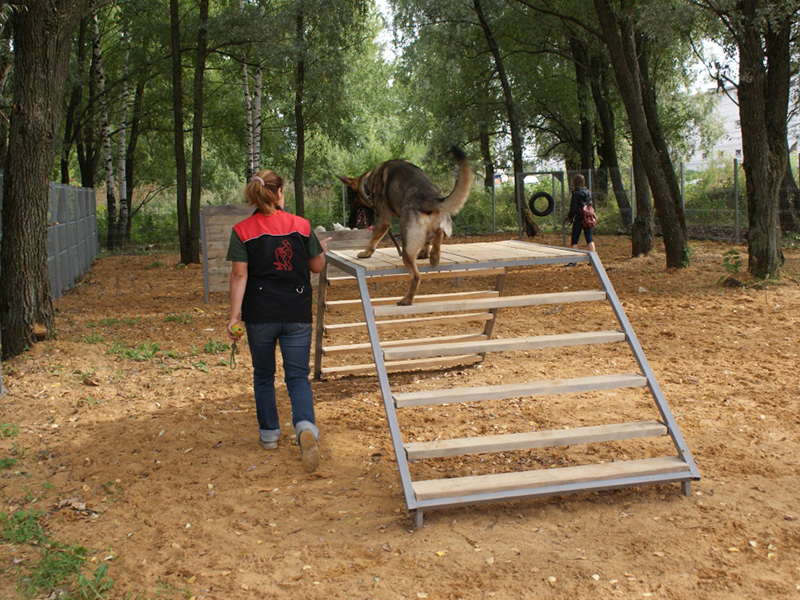 ����� ��������� �� �������� ��� ������ ����� ��������� � ���� �75 �� ����������