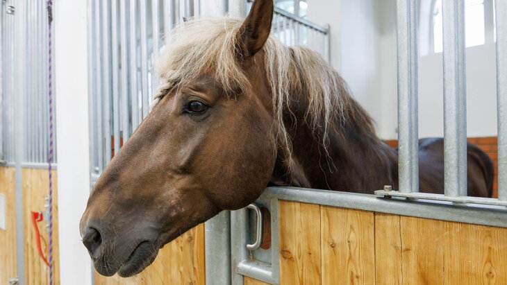 �������� ����� ������ �������� �������� � �����-����������� "�����������"