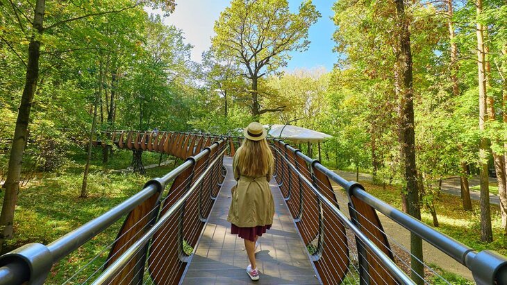 ������� ������ ������ ������� ����� �������� �������� � ��������