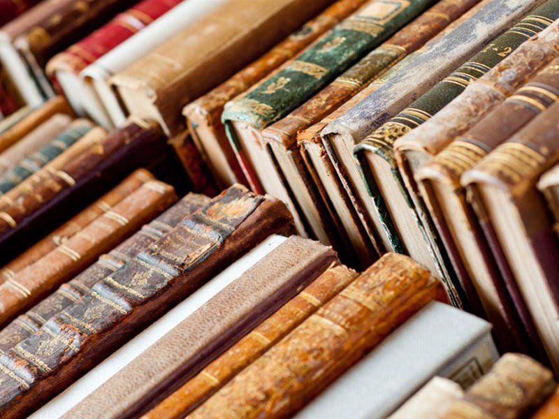 � ������� 5-6 �������� ������ ����� ������ ��������� "������� �����"