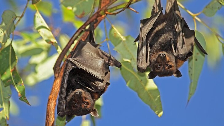 ������ ��������������� ����������� ������������� ������� ����� � �� ��� � ���������������