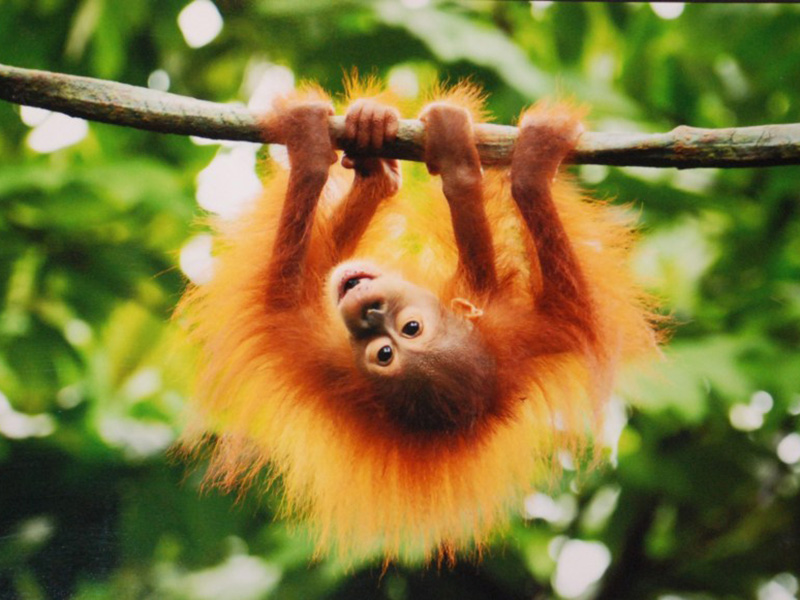 ���������� ������: ������������ �100 ����� �����. ����� 3�