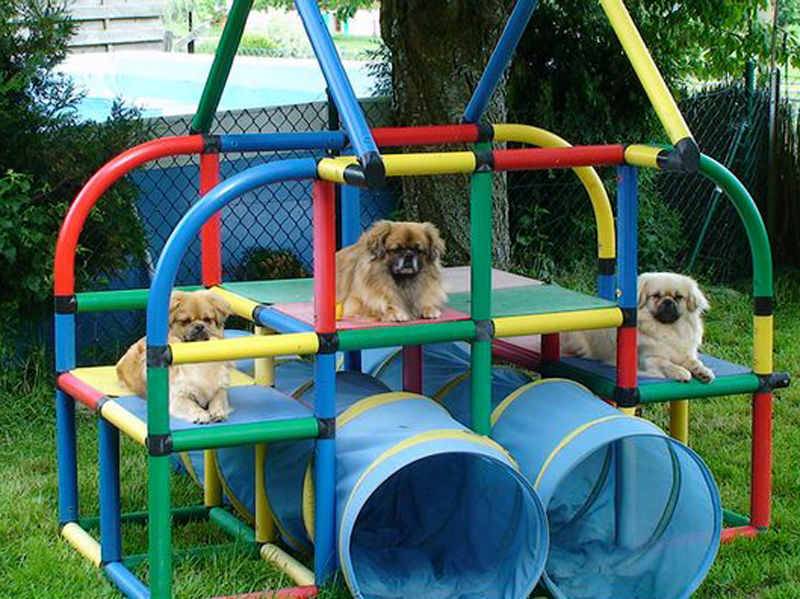 �������� ��� ������ �������� ���������� �� ���������� �����