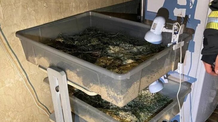 � ���������� �������� ������ �� ���� 700 �������, 11 ����, 11 ������� � 3 ��������