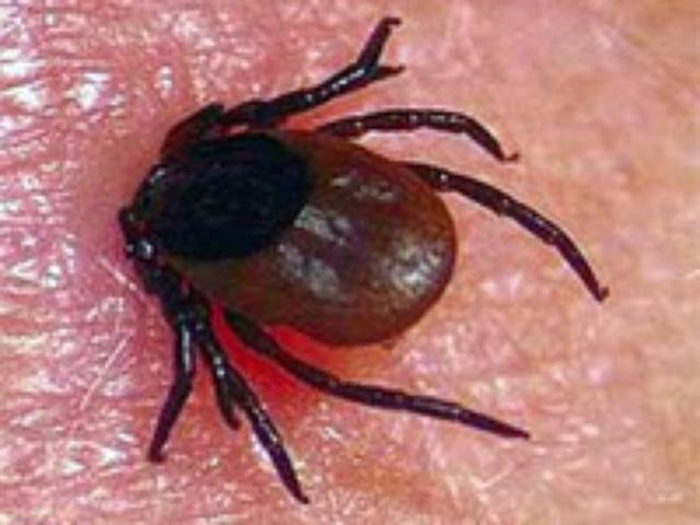 � ������� ������������ ������ ����������� ������ ����� ����� �����