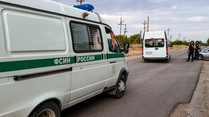 ��� ���� ��������� ����, �������� � ��������� � ��-19, ���� � ��������