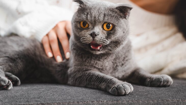 ��������� ����������, ��� ���������� ������ � ��������� ���������