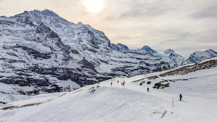 ������� ��������� ������ �������� �� ������ ����� ��������� ��������