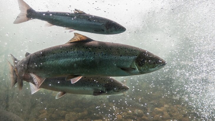 ���������� �������� ������� � ������� �������� � ������� � �������