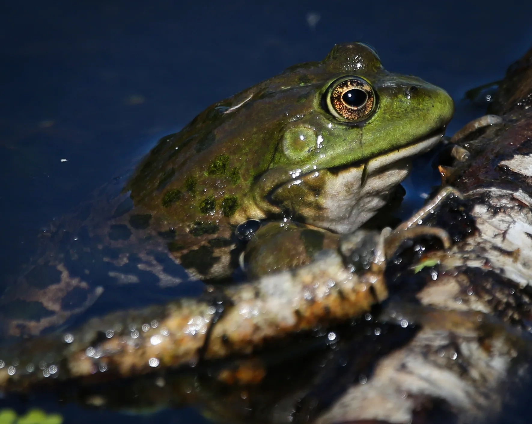 �������, ������� � ���� ������ �� ��������� ����������� ������