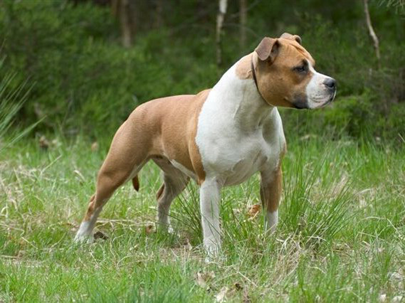 ����� �������� ��� :  ���������� ������ �������� �� ���������� ����� �������� ����� � ������